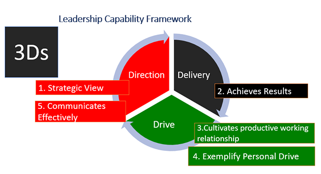 3D Leadership Capability Framework